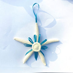 Sea Star with Sand Dollar - Blue Ribbon