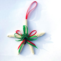 Sea Star with Palm Tree and Holiday Ribbons